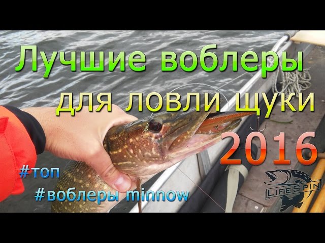 Лучшие воблеры для ловли щуки 2016