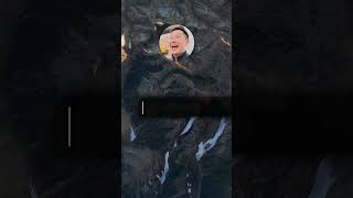 How to access #chatgpt and #googlebard from desktop