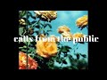 【globe】 calls from the public