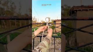 Celebrity One Knot to Save Your Life — Literally! Net Worth