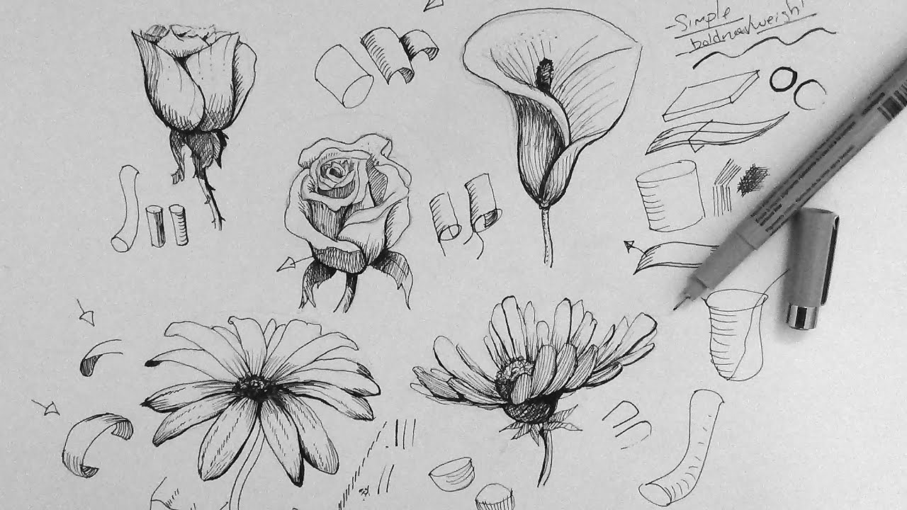 Cool Pen Drawings Of Flowers