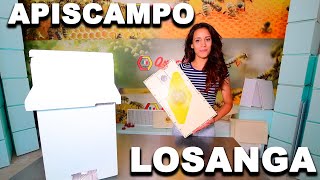Apicoltura - APISCAMPO