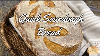 Sourdough Bread