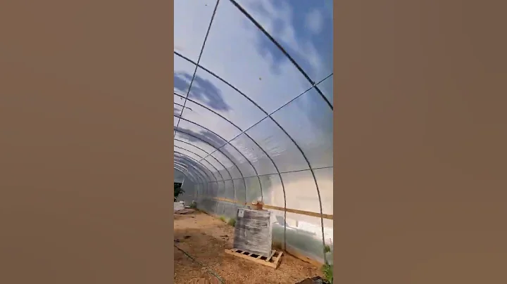 Building Living Soil in Giant Greenhouse!