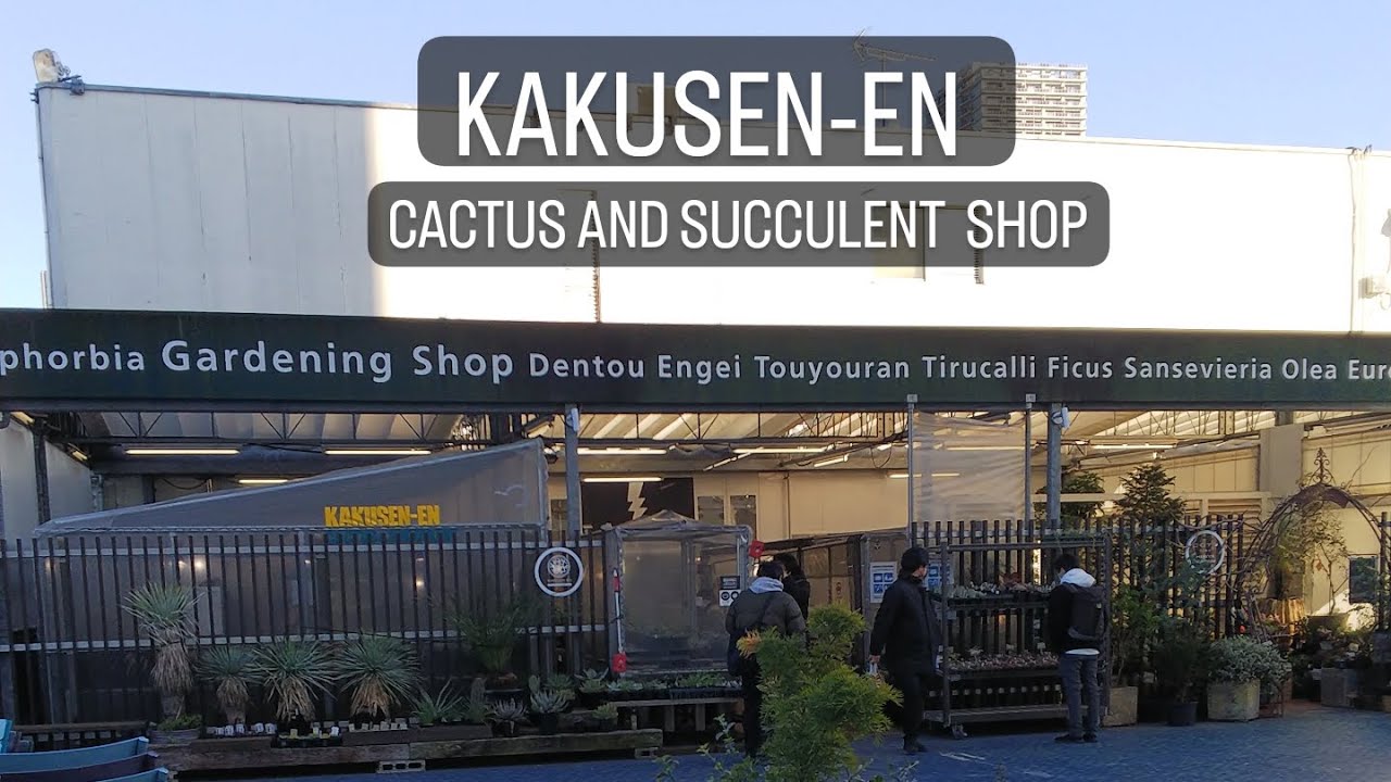 シャボテン Cacti & Succulents 誠文堂新光社 サボテン写真集―原色 | 平尾博のあらすじ・感想 - ブクログ