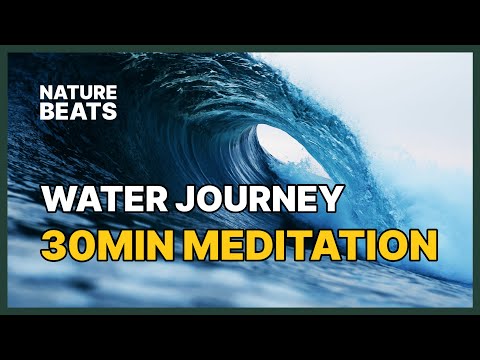 Journey Through Nature's
