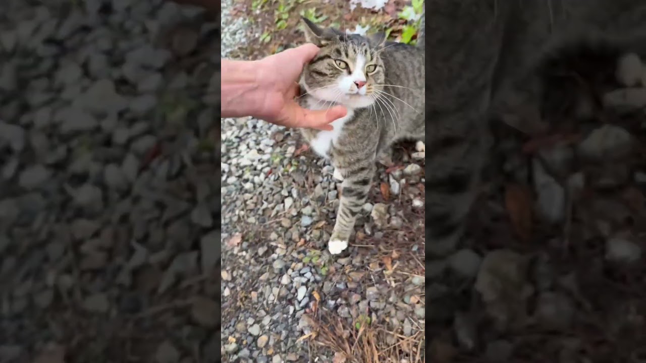 Ты говоришь обо мне?