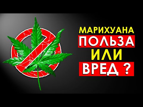 Видео: Использование марихуаны в травах - узнайте о пользе марихуаны в саду