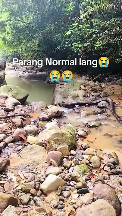 Hala snake