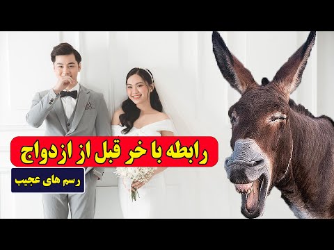 رسومات عجیب رابطه با خر قبل از ازدواج یا خوردن گوشت اموات