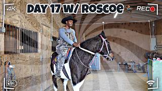 HE WON'T TRY ME THIS TIME! | DAY 17 Breaking My New Horse Roscoe