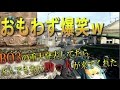 【BO2 実況】 奈々様ファンが行く爆笑！BO3の話してたらすごい助っ人が来たｗ part 795 ドミネーション【ななか】