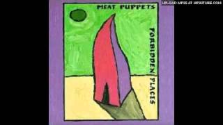 Watch Meat Puppets This Day video