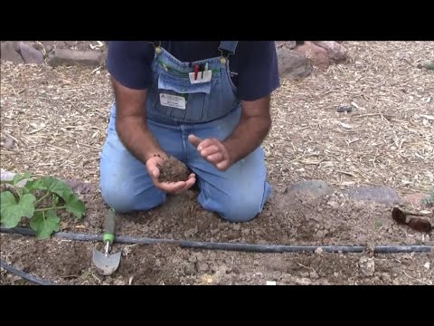 متى وما هي كمية الماء لري أي نبات