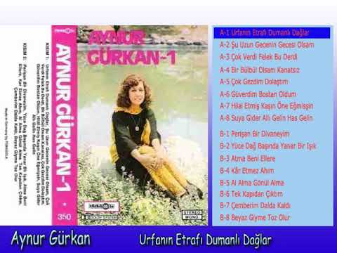 Aynur Gürkan -
