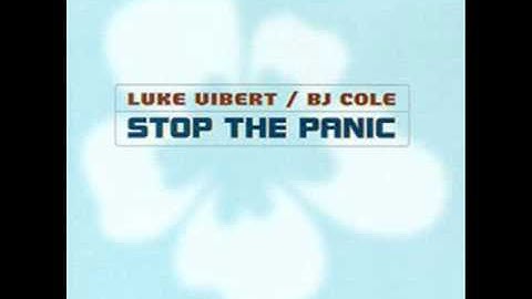 Luke Vibert & BJ Cole - Fly Hawaii