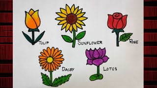 5 flowers drawing|flowers drawing with colour|how to draw flowers