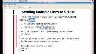How To Echo Multiple Lines Linux Bash – Systran Box How To Echo Multiple Lines Linux Bash – Systran Box