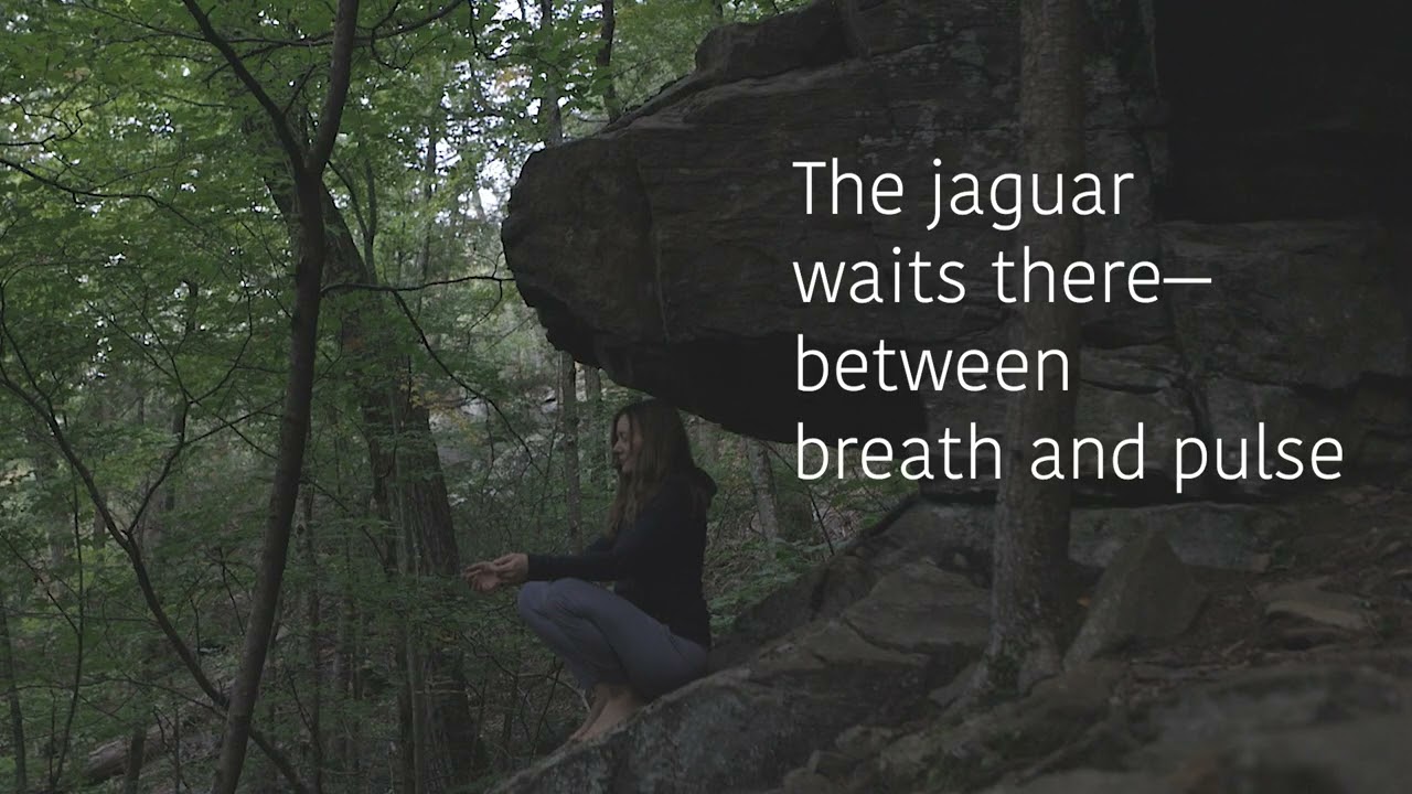 🐆 Jaguar Medicine: Craniosacral Journeys Between Worlds