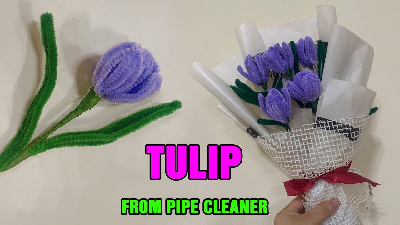 Zlulary Pipe Cleaners, Pipe Cleaners Craft Supplies, Chenille Stems Kits  for Tulip Bouquet Making with Step-by-Step Tutorials Video, Gift Box, Pipe