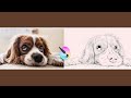 Turn any photograph into a pencil sketch using Krita