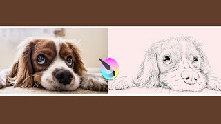 Turn any photograph into a pencil sketch using Krita screenshot 5