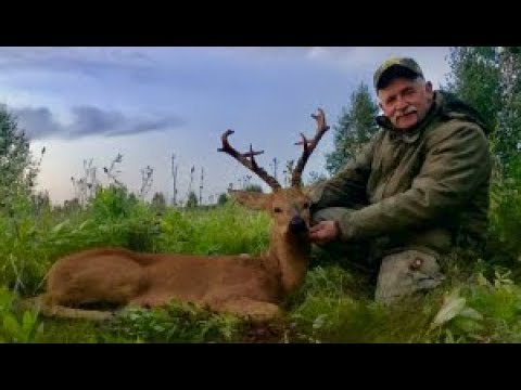 Video: Jagt Efter 