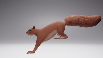 Squirrel Run Cycle Animation in Blender