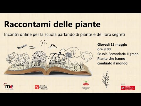 Video: Perché i papaveri orientali non fioriscono: come ottenere fiori su piante di papavero ornamentali