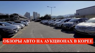 Авто из Кореи. Обзоры авто на аукционе Гловис