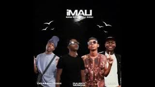 DrummeRTee924 - Imali