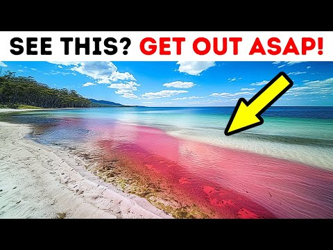 15 Phenomena You Won't Believe Exist – Run Before It's Too Late!