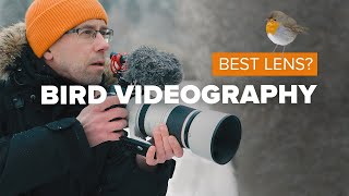 Canon RF 100-500 Two Years Later: Best Lens for BIRD VIDEOGRAPHY?