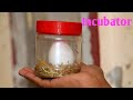 How To Make Egg incubator at home | incubator for chicken eggs