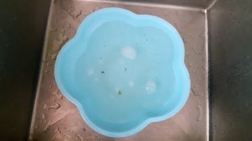 NƯỚC RỬA CHÉN BÁT, NGÂM RAU CỦ QUẢ DISH DROPS - AMWAY HOME| HUYEN DUONH