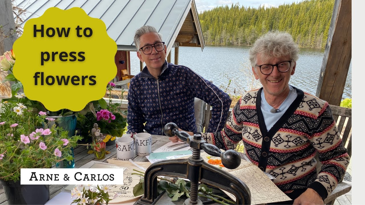 How To Make Your Own Pressed Flowers by ARNE & CARLOS YouTube