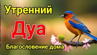 Утренний Дуа. Дуа Каждое Утро