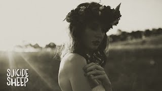 Video thumbnail of "Skott - Amelia"