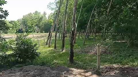 Bán gấp lô đất 1000m2 nở hậu giá sốc bao sổ...lh 0935163791(zalo Linh Nguyễn)