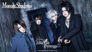 Affective Synergy「Moonlit Shadows」MV FULL