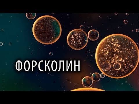 Скрытый Психостимулятор [ФОРСКОЛИН]
