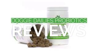 Doggie Dailies Probiotics for Dogs [REVIEWS]