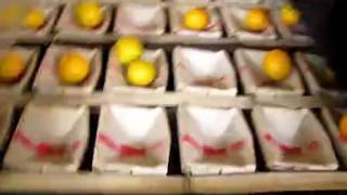 Orange Optical Sorting Machine