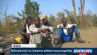 Ebikwekweto Ku Batema Ebibira Byeyongedde