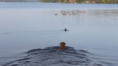 왕초보를 위한  JavaScript 강좌 1 객체(Object)