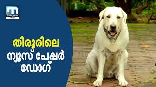 തിരൂരിലെ ന്യൂസ് പേപ്പര്‍ ഡോഗ് | Mathrubhumi News