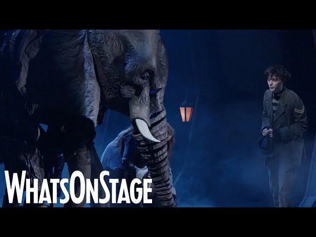 The Magician's Elephant musical | 2021 footage trailer class=
