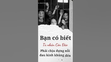 Tù nhân Côn Đảo và cuộc sống “địa ngục trần gian” #lichsu #vietnam #shortsviral