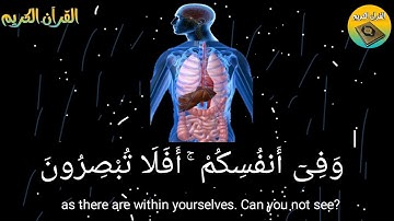القرآن الكريم ستوري الواتس اب وفي أنفسكم أفلا تبصرون😪💔
