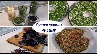 видео: Большая сушка 2021 - зеленый лук, укроп, базилик, петрушка, чеснок. Сушеная зелень на зиму в сушилке картинка: Большая сушка 2021 - зеленый лук, укроп, базилик, петрушка, чеснок. Сушеная зелень на зиму в сушилке